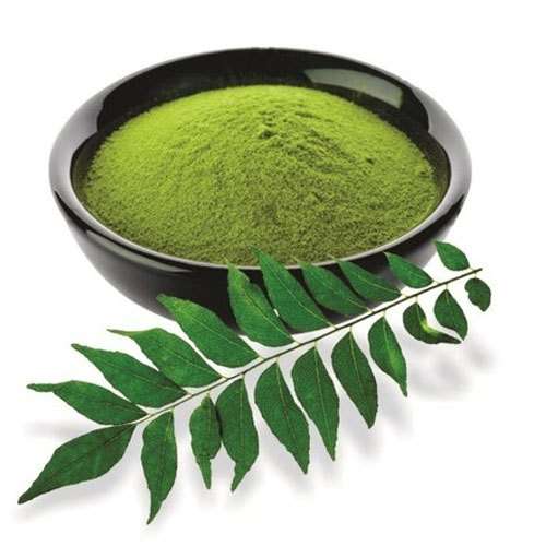 curry-leaves-powder