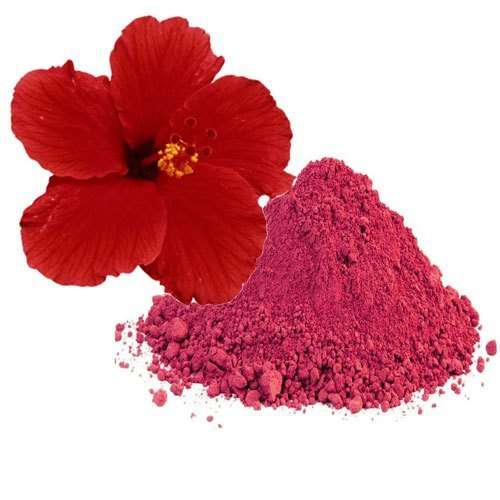 hibiscus-powder