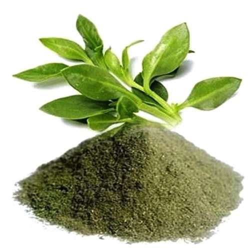 Best Quality Organic Herbs Powder Products - TheRealOrganicHerbs!